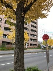「八乙女二丁目」バス停留所
