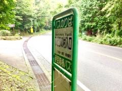 「みどりの村入口」バス停留所