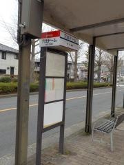 「穴生ドーム」バス停留所