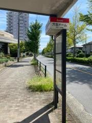 「穴生ドーム」バス停留所
