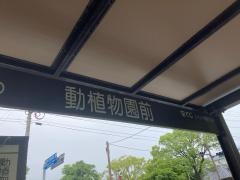 「動植物園入口」バス停留所