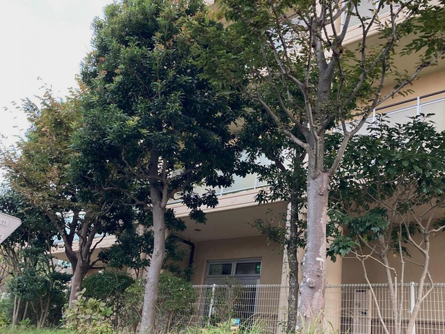 村岡ホーム 施設外観