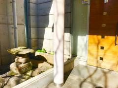 示現流史料館