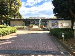 高松緑地公園温水プール