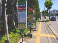 「白石神社前」バス停留所