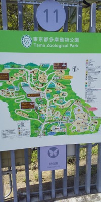 旅探 たびたん 多摩動物公園