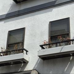 市川動物病院