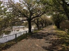 宮の池公園