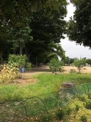 別府第2公園