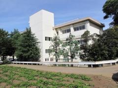 白井小学校