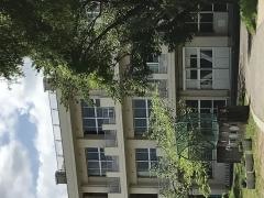 白井小学校