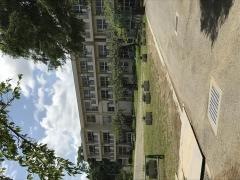 白井小学校