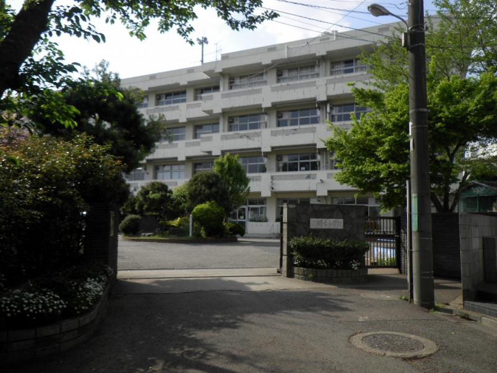 活動歴および当時の関連ビジュアル記録