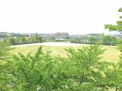 三好丘桜公園
