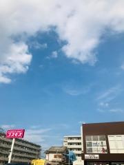 ドラッグストアコスモス　下山門店