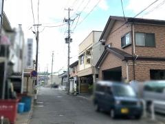 親月