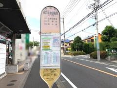 「横浜泉郵便局前」バス停留所