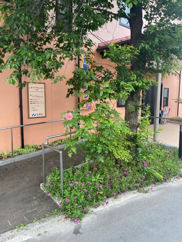 ニチイのほほえみ広島亀山 雰囲気