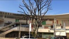 アリオ上尾店