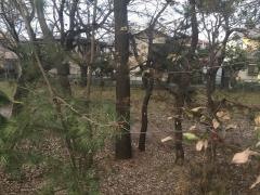 実花緑地