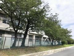 森崎小学校