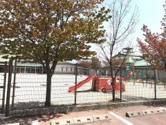 玉川どんぐり保育園