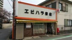 エビハラ書店