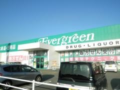 エバグリーン岩出中迫店