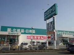 エバグリーン岩出中迫店
