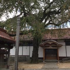 極楽寺