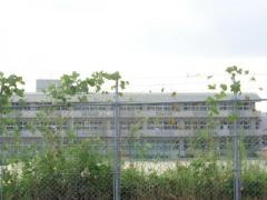 白水小学校