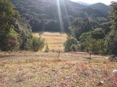南光開発ゴルフ場