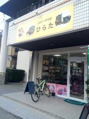 ｐｅｔｓｈｏｐひらた