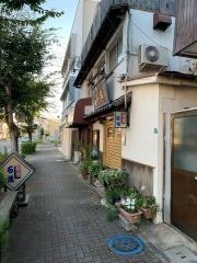 石松