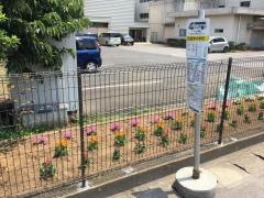 「風早中学校」バス停留所