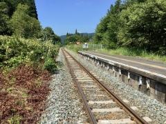 ゆだ錦秋湖駅
