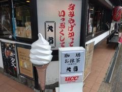 嵐山　大市