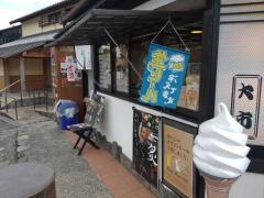 嵐山　大市