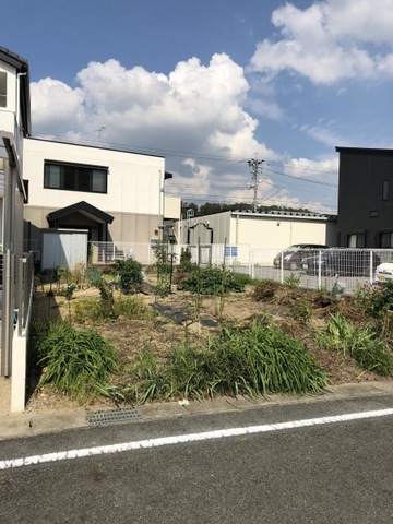 ゆきあい
