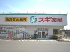 スギドラッグ　四日市泊小柳店