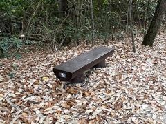 中山神社