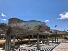 かぶら文化ホール