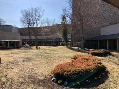 かぶら文化ホール