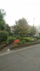 ほそがみ緑地
