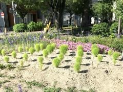 船附街園