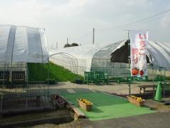 観光イチゴ園サンシャインヴィレッジ