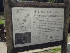津堂城山古墳