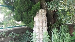小森江西小学校