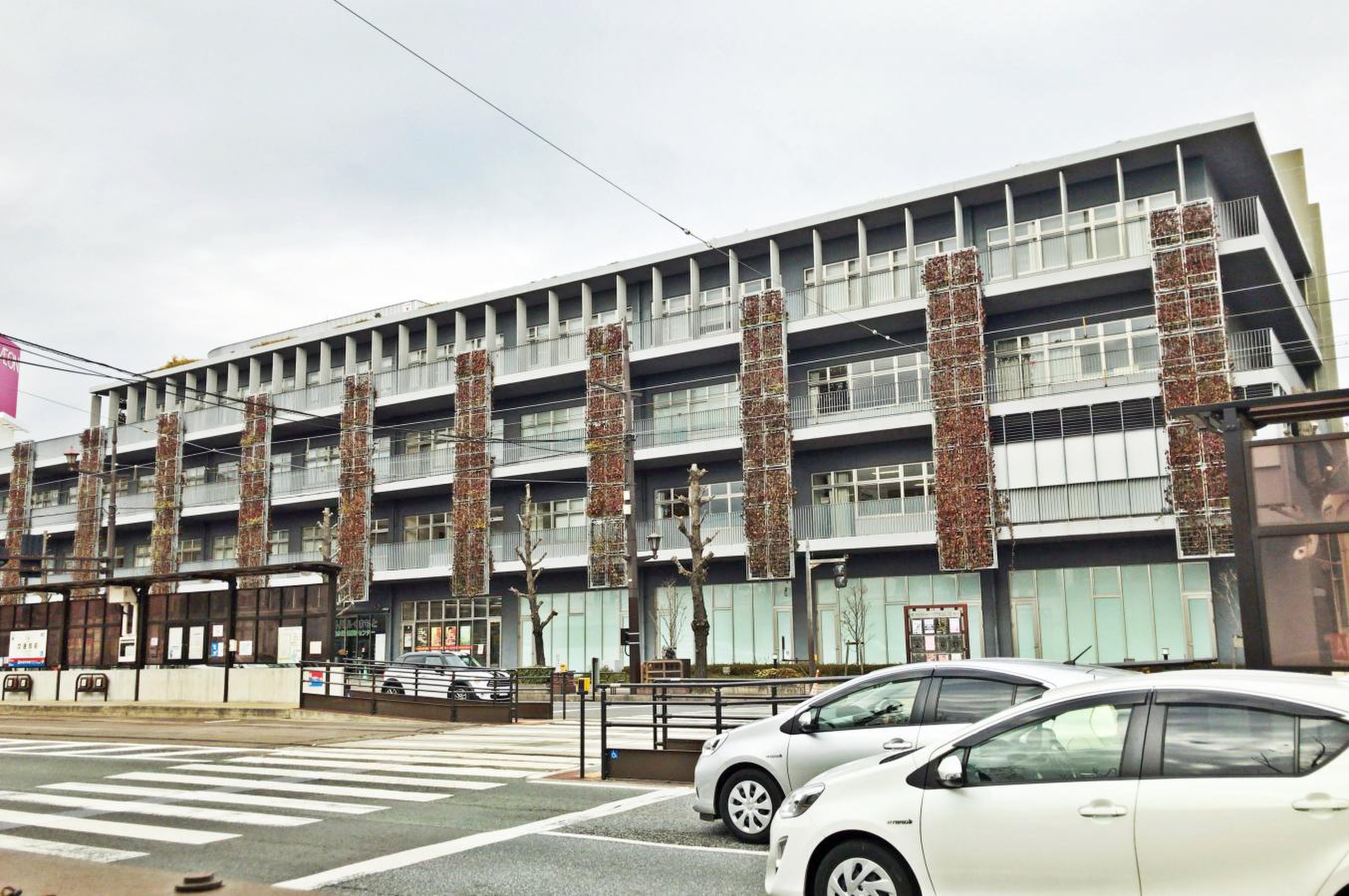 熊本 市 保健所