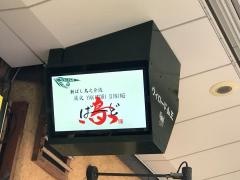 ばーど